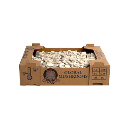 custom mushroom boxes wholesale